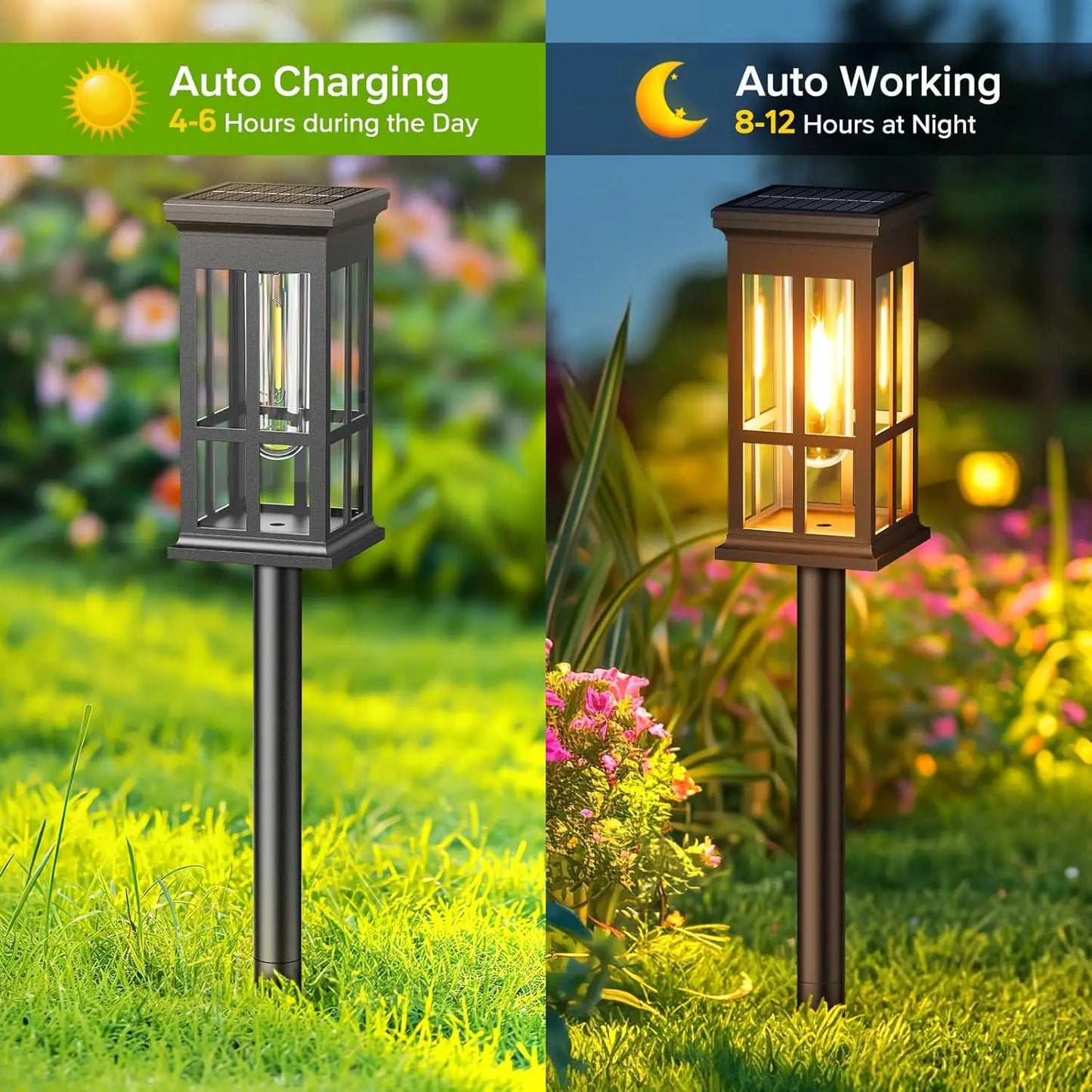 2/6/8 Pack Solar Pathway Lights - Super Bright Outdoor Solar Lights
