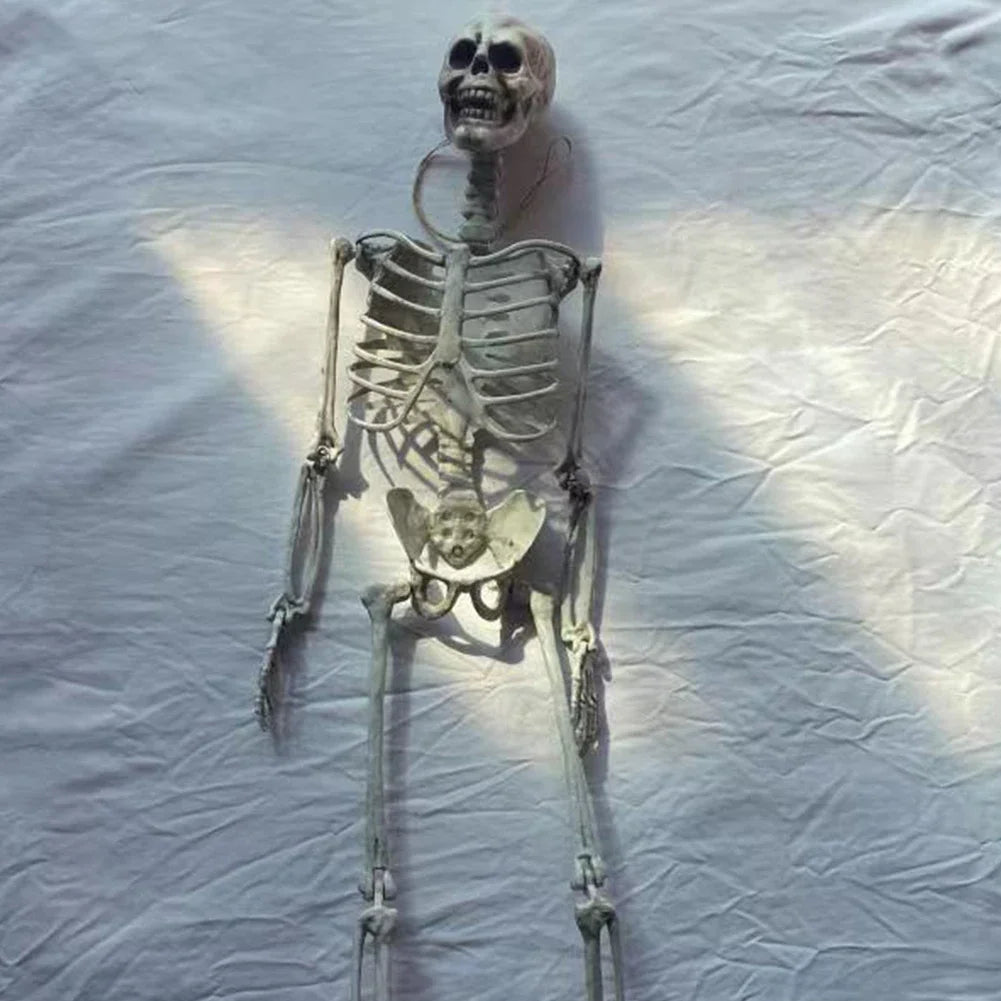 Haunted House Hanging Skull Prop Halloween Decoration