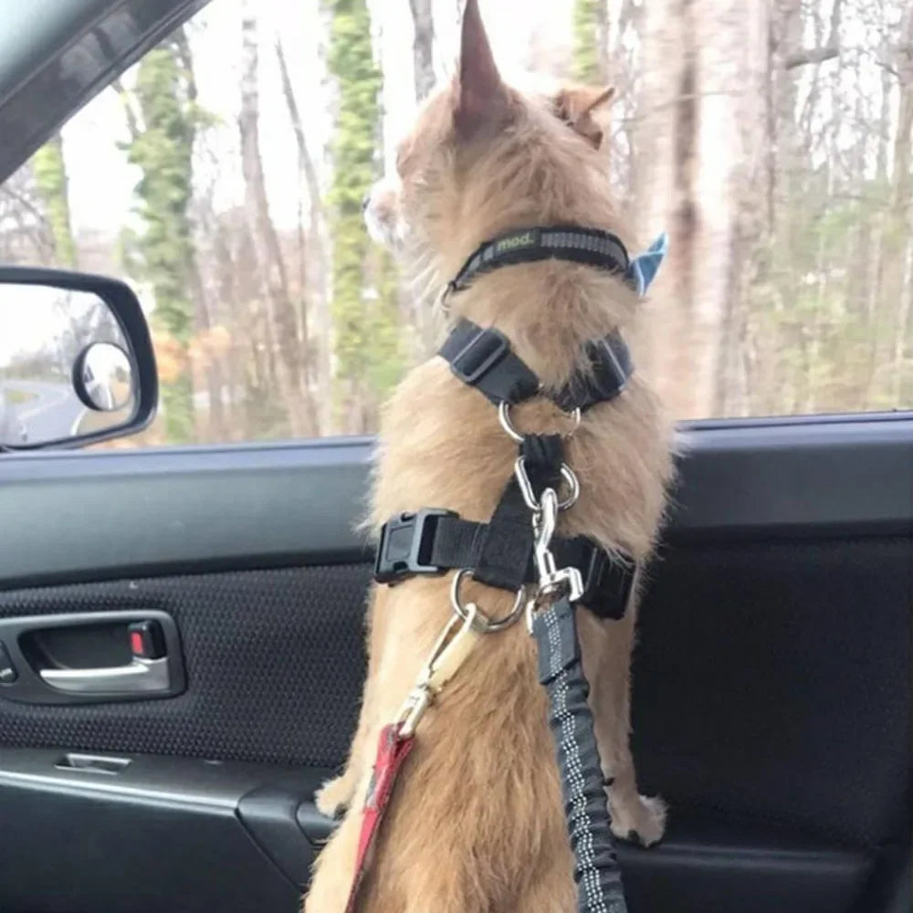 Pet Dog Car Seat Belt Retractable Elastic Reflective Safety Traction Rope Harness Accessories