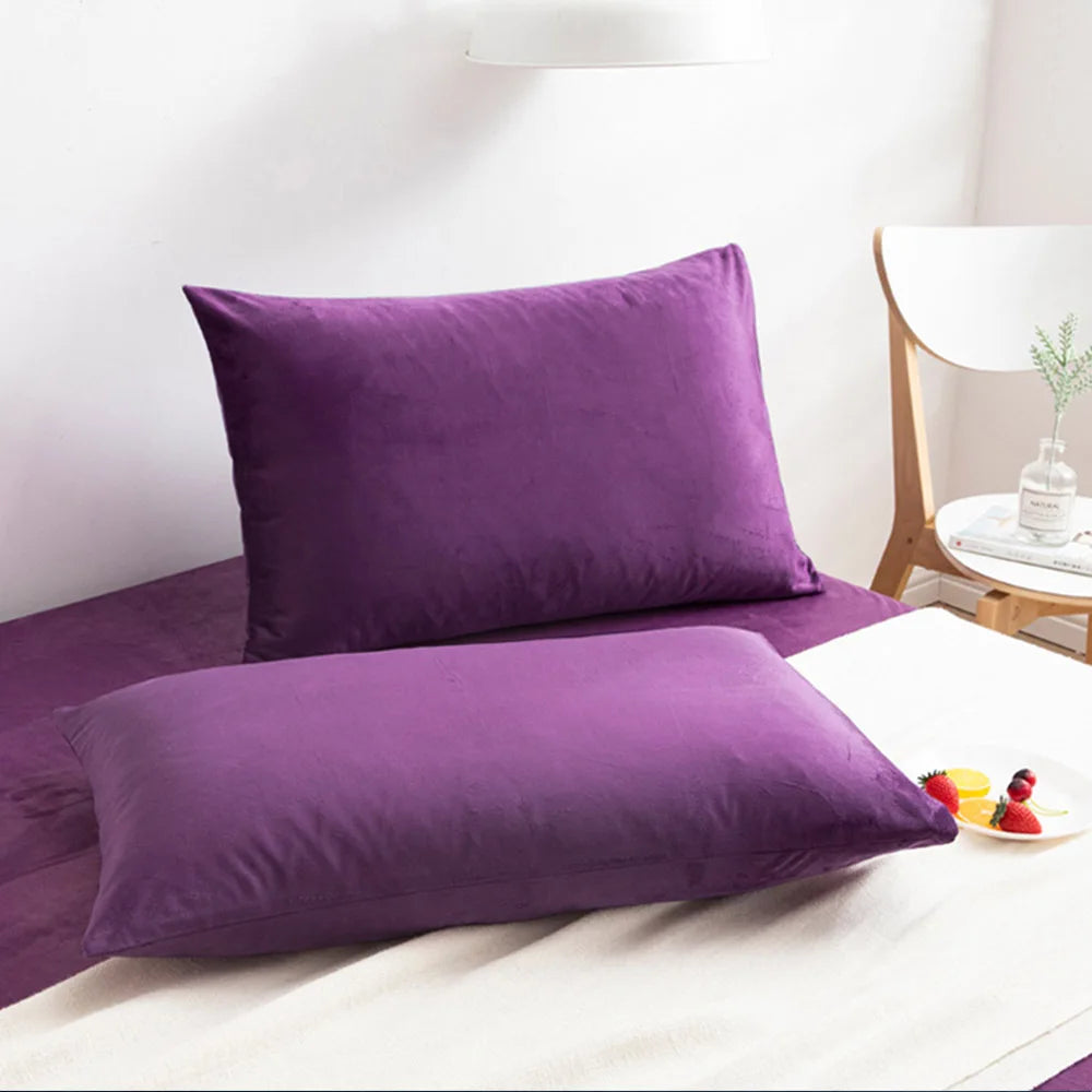 Ntbay 2 Pack Velvet Hidden Zippered Pillowcases Super Soft Cozy