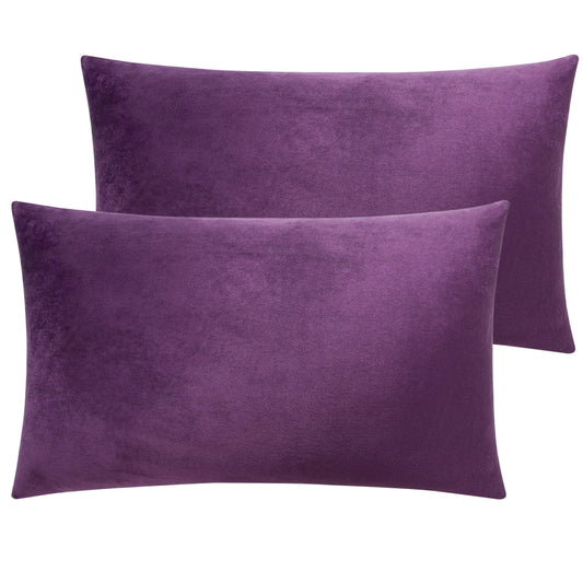 Ntbay 2 Pack Velvet Hidden Zippered Pillowcases Super Soft Cozy