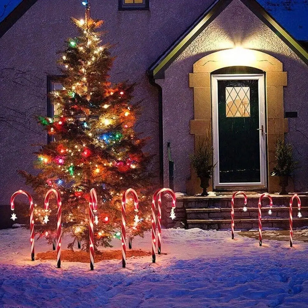 Guangdong Candy Cane Solar Christmas Lights 12 Pack