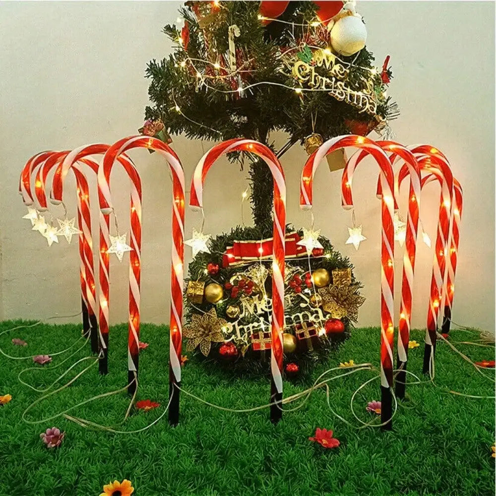 Guangdong Candy Cane Solar Christmas Lights 12 Pack