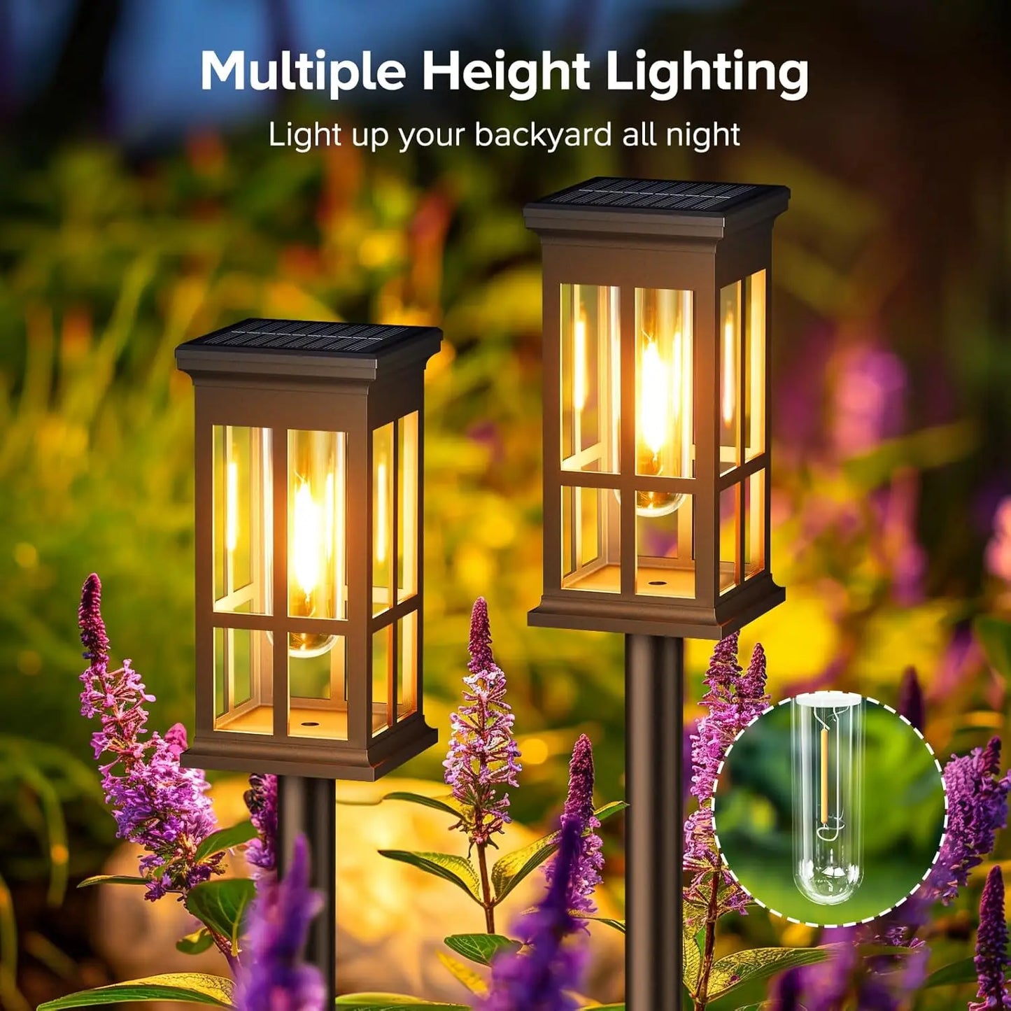 2/6/8 Pack Solar Pathway Lights - Super Bright Outdoor Solar Lights