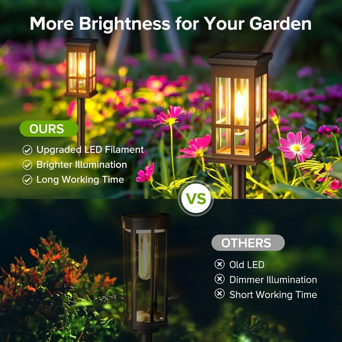 2/6/8 Pack Solar Pathway Lights - Super Bright Outdoor Solar Lights
